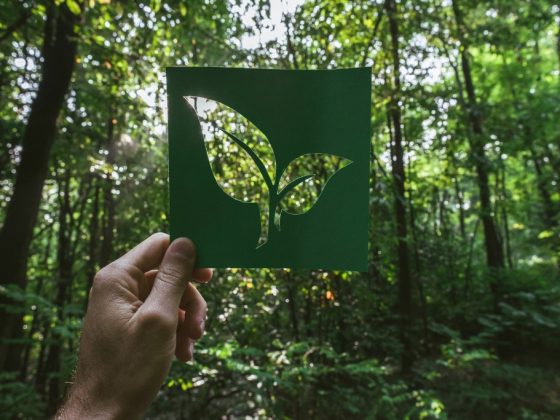 The Rise of Eco-Friendly Travel: How to Explore the World Responsibly